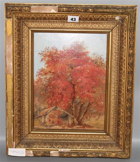 Unsigned oil- Autumn leaves on tree